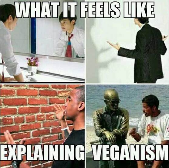 Cómo se siente uno explicando qué es el veganismo.