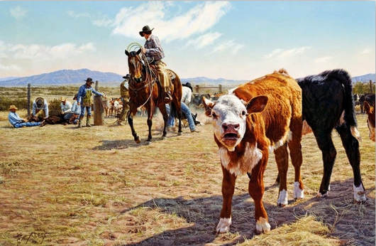 Vaqueros manejando ganado vacuno en el Oeste americano.